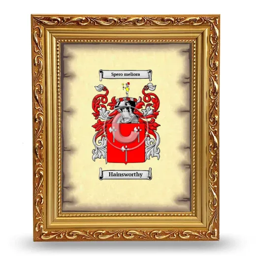 Hainsworthy Coat of Arms Framed - Gold