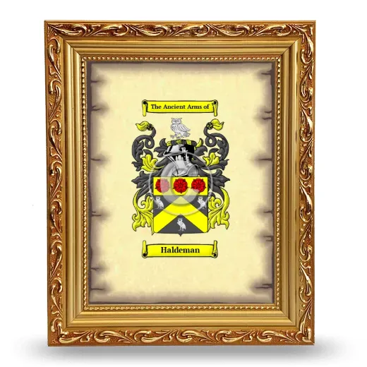 Haldeman Coat of Arms Framed - Gold