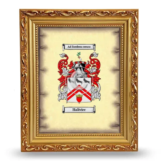 Halivier Coat of Arms Framed - Gold