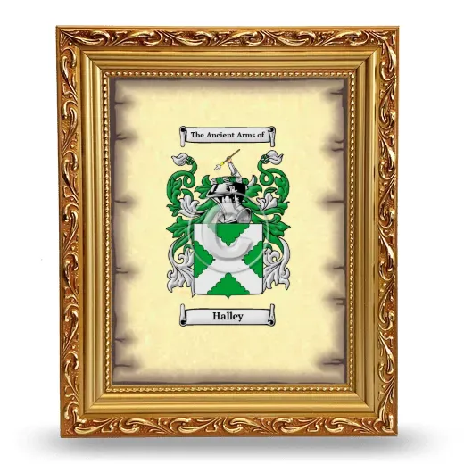Halley Coat of Arms Framed - Gold