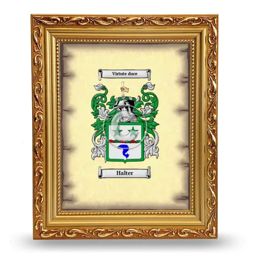Halter Coat of Arms Framed - Gold