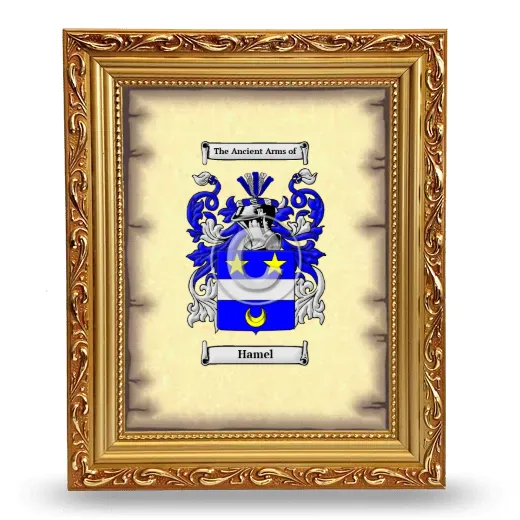 Hamel Coat of Arms Framed - Gold