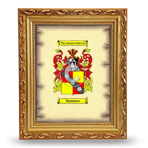 Hanneen Coat of Arms Framed - Gold