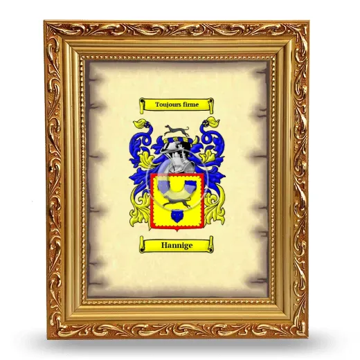 Hannige Coat of Arms Framed - Gold