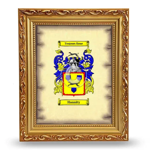 Hannity Coat of Arms Framed - Gold