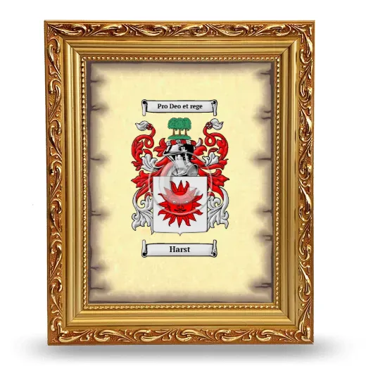 Harst Coat of Arms Framed - Gold