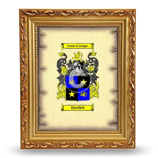 Hartlieb Coat of Arms Framed - Gold
