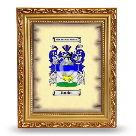 Haselen Coat of Arms Framed - Gold