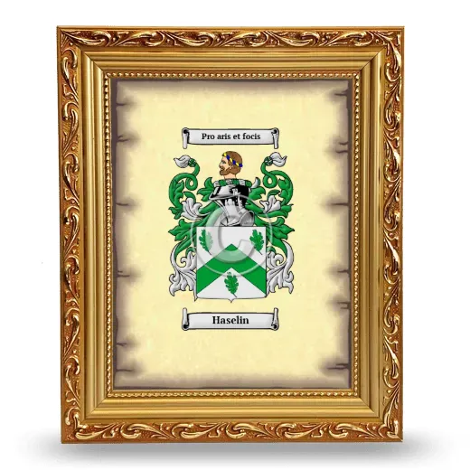 Haselin Coat of Arms Framed - Gold