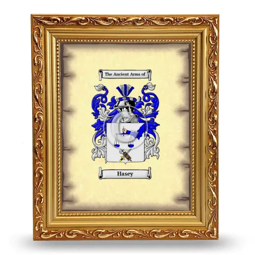 Hasey Coat of Arms Framed - Gold