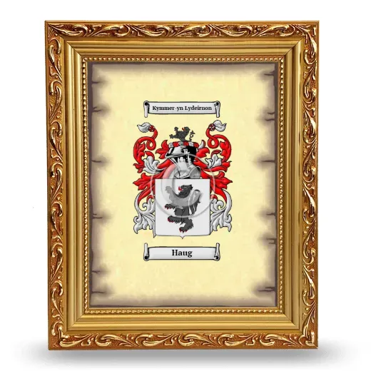 Haug Coat of Arms Framed - Gold