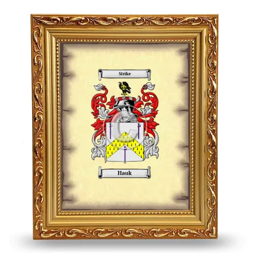 Hauk Coat of Arms Framed - Gold