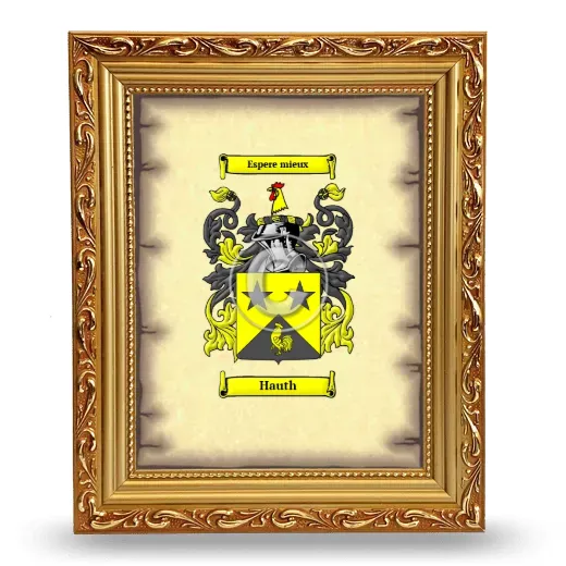Hauth Coat of Arms Framed - Gold
