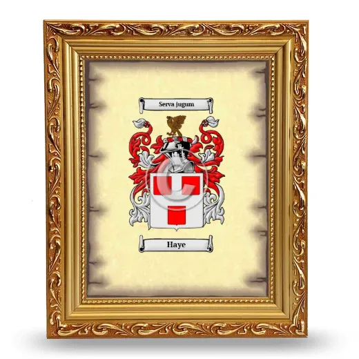 Haye Coat of Arms Framed - Gold