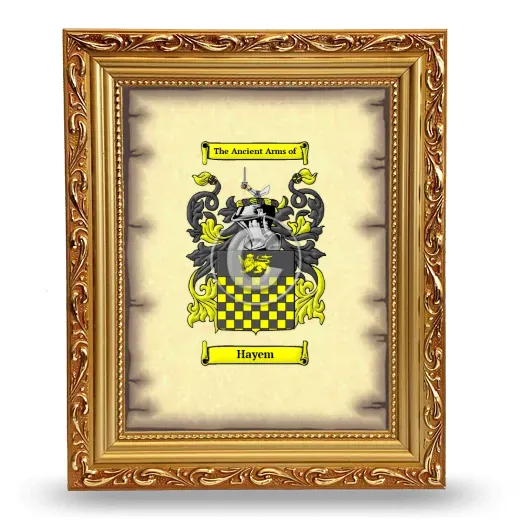 Hayem Coat of Arms Framed - Gold
