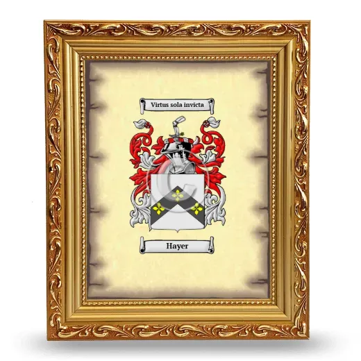 Hayer Coat of Arms Framed - Gold
