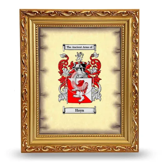 Hayn Coat of Arms Framed - Gold