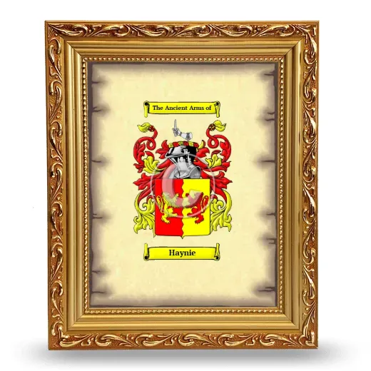 Haynie Coat of Arms Framed - Gold