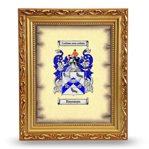 Haysmyn Coat of Arms Framed - Gold