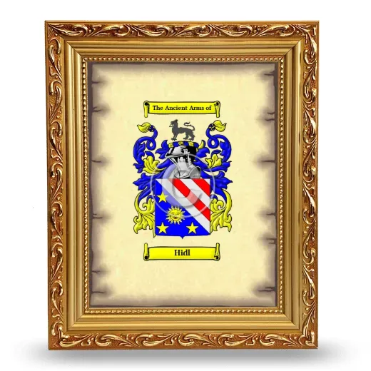 Hidl Coat of Arms Framed - Gold
