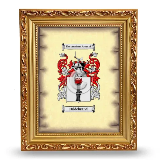 Hildebrand Coat of Arms Framed - Gold