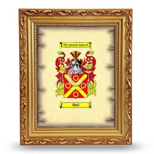 Hiul Coat of Arms Framed - Gold