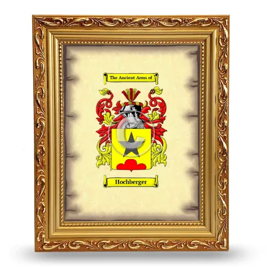 Hochberger Coat of Arms Framed - Gold