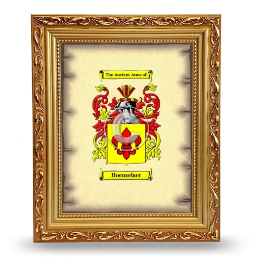 Hoenselaer Coat of Arms Framed - Gold