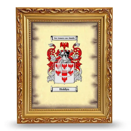 Holdyn Coat of Arms Framed - Gold