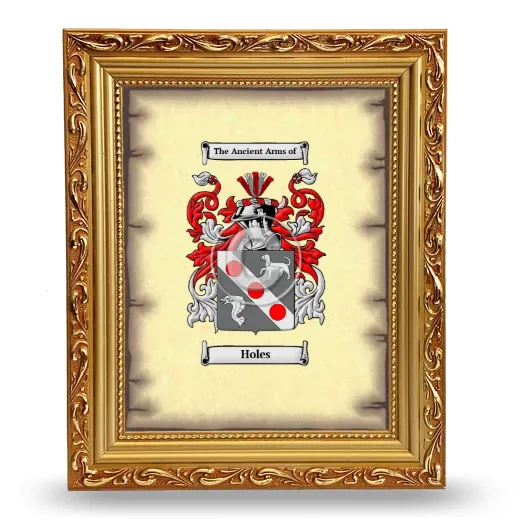 Holes Coat of Arms Framed - Gold