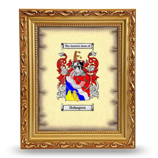 Holmgren Coat of Arms Framed - Gold