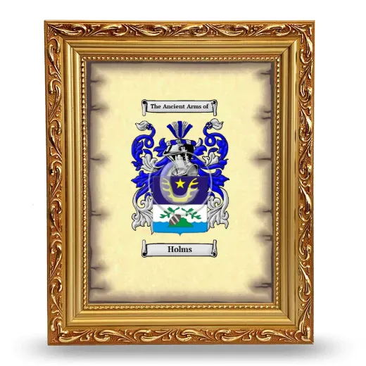 Holms Coat of Arms Framed - Gold