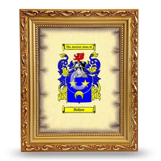 Holzer Coat of Arms Framed - Gold