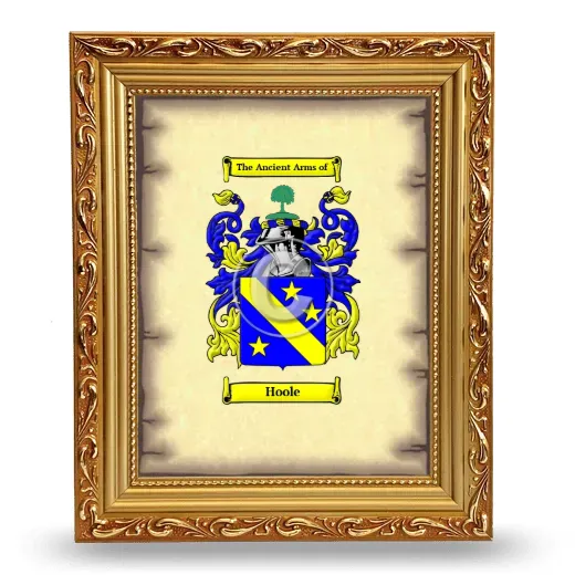 Hoole Coat of Arms Framed - Gold