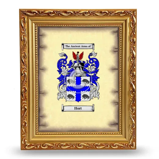 Hort Coat of Arms Framed - Gold