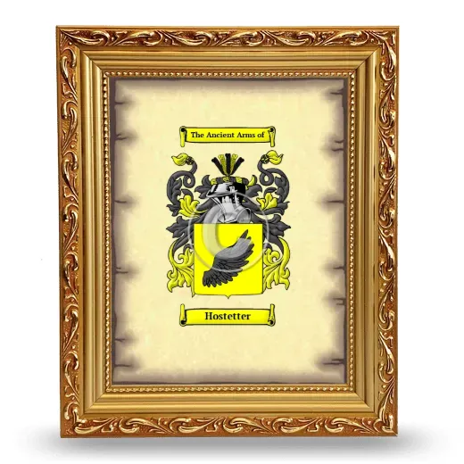Hostetter Coat of Arms Framed - Gold