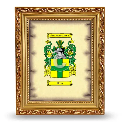 Hosy Coat of Arms Framed - Gold