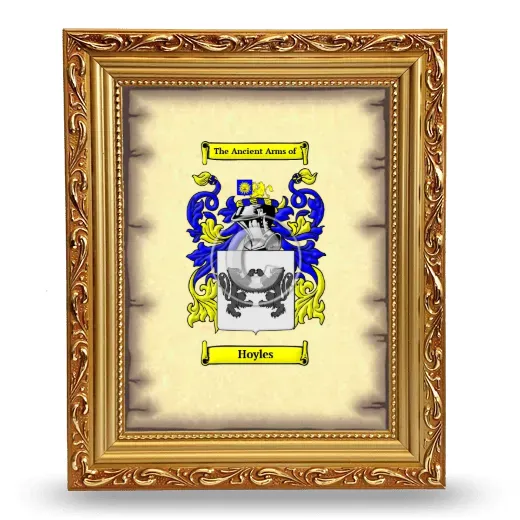 Hoyles Coat of Arms Framed - Gold