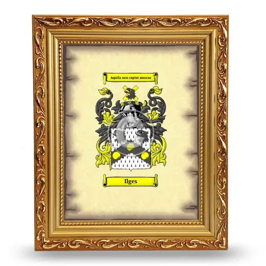 Ilges Coat of Arms Framed - Gold