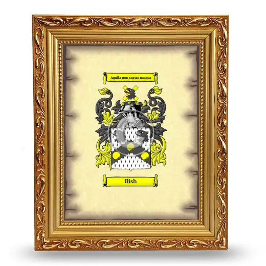 Ilish Coat of Arms Framed - Gold