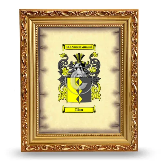 Illan Coat of Arms Framed - Gold