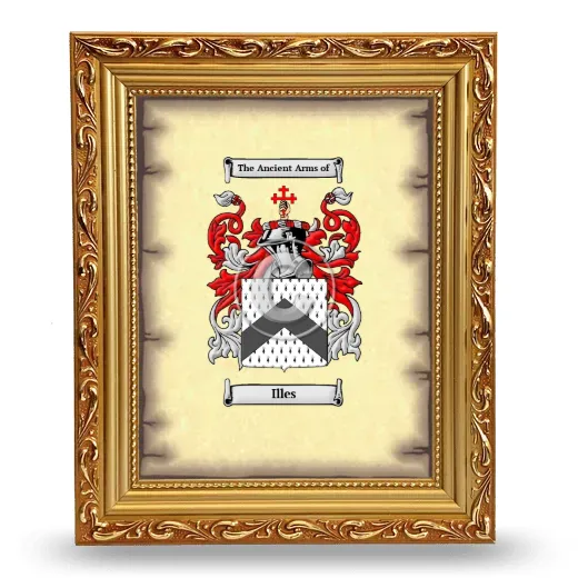 Illes Coat of Arms Framed - Gold