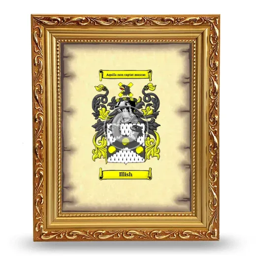 Illish Coat of Arms Framed - Gold
