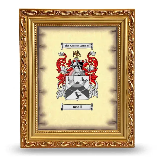 Insall Coat of Arms Framed - Gold