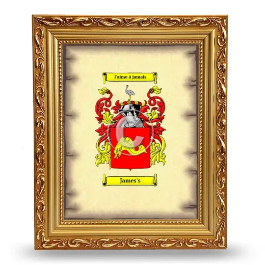 James's Coat of Arms Framed - Gold