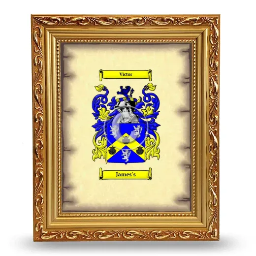 James's Coat of Arms Framed - Gold