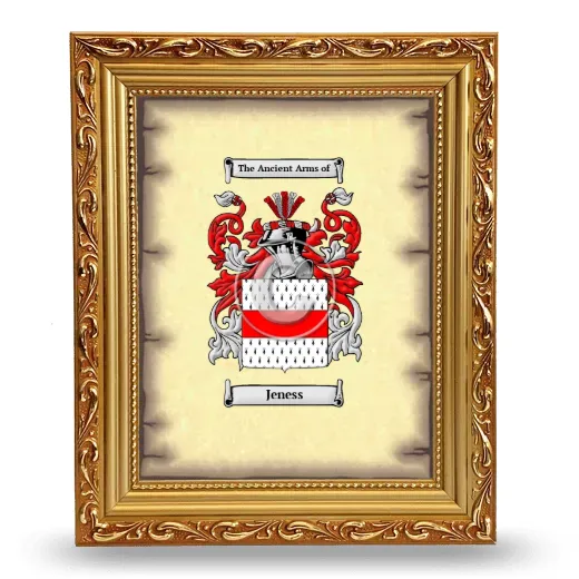 Jeness Coat of Arms Framed - Gold