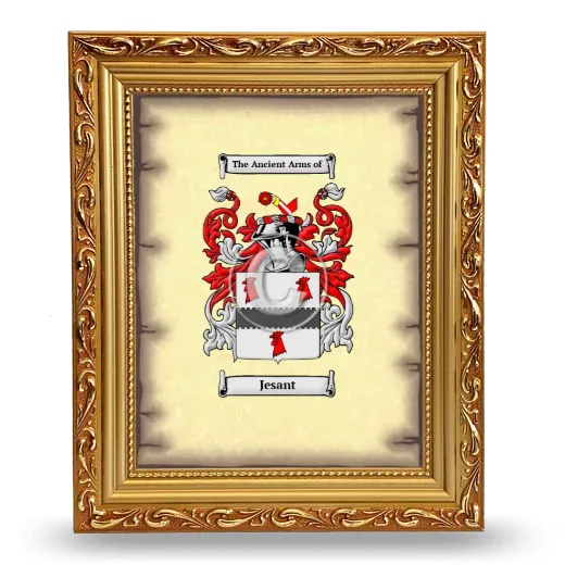 Jesant Coat of Arms Framed - Gold