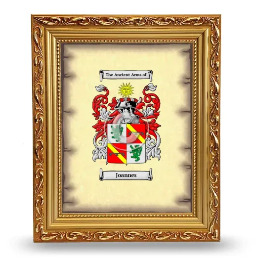 Joannes Coat of Arms Framed - Gold