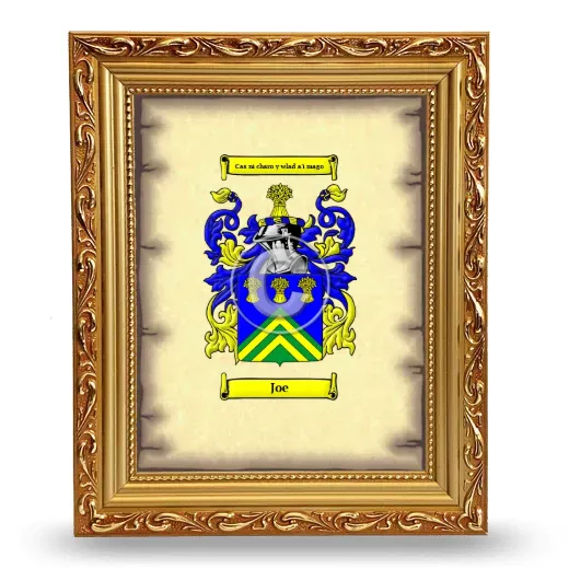 Joe Coat of Arms Framed - Gold